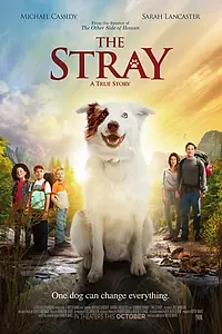 Постер к фильму «The Stray (2017)»