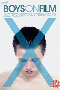 Постер к фильму «Фильм для парней X (2013)»