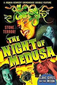 Постер к фильму «The Night of Medusa (2016)»