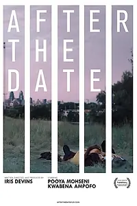 Постер к фильму «After the Date (2017)»