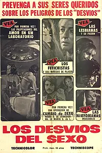 Постер к фильму «В лабиринте секса (1969)»