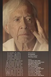 Постер к фильму «Преодолевая трудности (2017)»