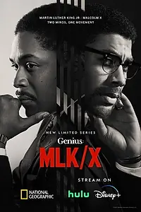 Постер к сериалу «Гений (2017)»