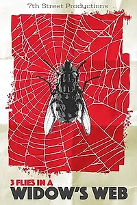 Постер к фильму «3 Flies in a Widow's Web (2016)»