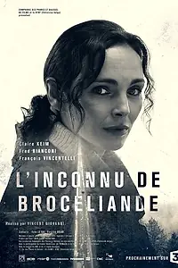 Главный постер фильма «Незнакомец из Броселианда (2016)»