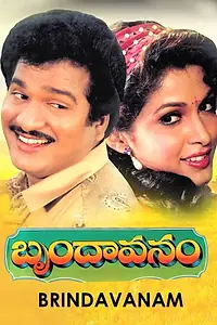 Постер к фильму «Brindavanam (1992)»