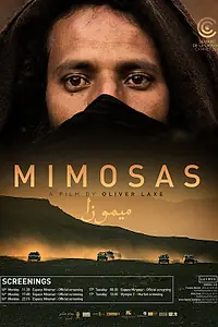 Постер к фильму «Мимозы (2016)»