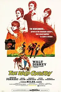 Главный постер фильма «Повеса за городом (1970)»