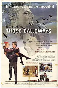 Главный постер фильма «Ох, уж эти Кэллоуэйзы (1965)»