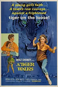 Главный постер фильма «Прогулка с тиграми (1964)»