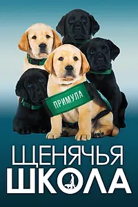 Постер к фильму «Щенячья школа (2018)»