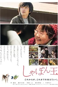 Главный постер фильма «Мыльный пузырь (2017)»