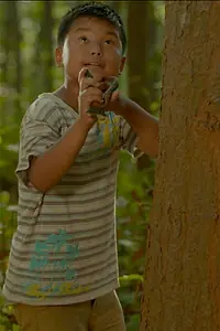 Постер к фильму «Гнездо (2016)»