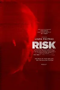 Постер к фильму «Риск (2016)»