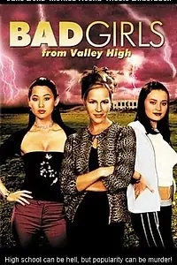 Главный постер фильма «Плохие девчонки из высокой долины (2005)»