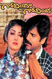 Главный постер фильма «Govindha Govindha (1993)»