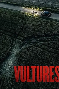 Главный постер фильма «Vultures (2025)»