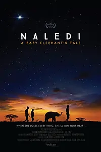 Главный постер фильма «Naledi: A Baby Elephant's Tale (2016)»
