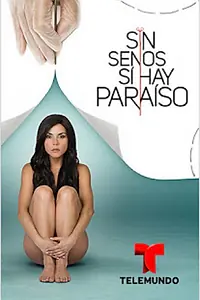 Постер к сериалу «Без груди нет рая (2016 - 2018)»