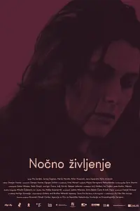 Главный постер фильма «Ночная жизнь (2016)»