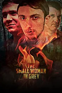 Постер к фильму «The Small Woman in Grey (2017)»