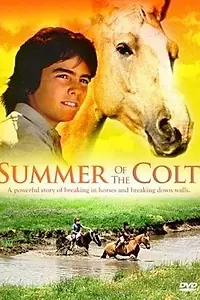 Постер к фильму «Фьерро... Тайны одного лета (1989)»