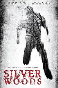 Постер к фильму «Silver Woods (2017)»