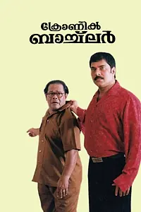 Главный постер фильма «Хронический холостяк (2003)»