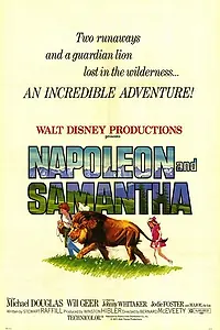 Постер к фильму «Наполеон и Саманта (1972)»