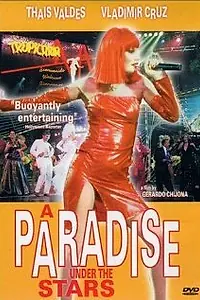 Постер к фильму «Рай под звездами (2000)»