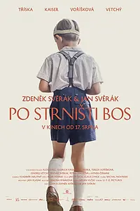 Постер к фильму «Босиком по стерне (2017)»