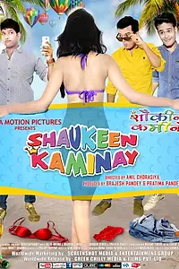Постер к фильму «Shaukeen Kaminay (2016)»
