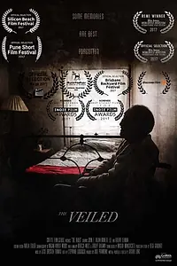Постер к фильму «The Veiled (2017)»