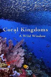 Главный постер фильма «Wild Window: Coral Kingdoms (2016)»