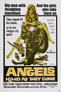 Постер к фильму «Ангелов круче не бывает (1971)»