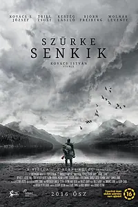 Постер к фильму «Серые посланцы (2016)»