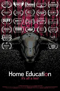 Главный постер фильма «Домашнее обучение (2016)»