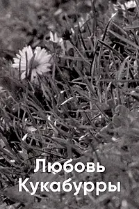 Постер к фильму «Любовь Кукабурры (2014)»