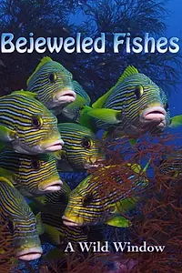 Главный постер фильма «Wild Window: Bejeweled Fishes (2016)»