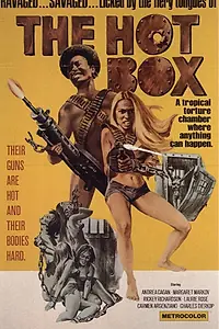 Главный постер фильма «Душная камера (1972)»