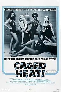 Постер к фильму «Страсть за решеткой (1974)»