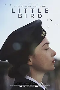 Постер к фильму «Little Bird (2017)»