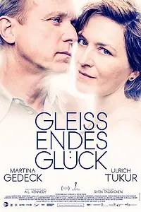 Постер к фильму «Легкое сияние счастья (2016)»