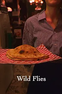 Постер к фильму «Wild Flies (2016)»
