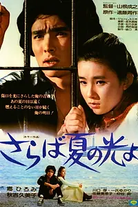Постер к фильму «Свет и тени молодости (1976)»