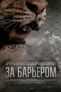 Постер к фильму «За барьером (2016)»