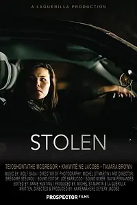 Постер к фильму «Stolen (2016)»