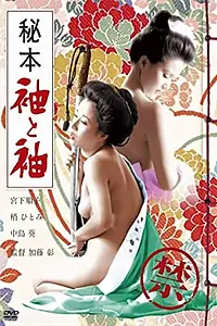 Главный постер фильма «Тайная книга: Рукав и рукав (1974)»