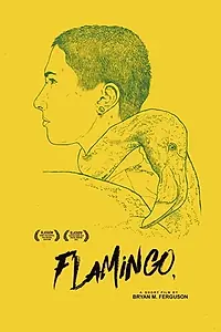 Постер к фильму «Flamingo (2016)»