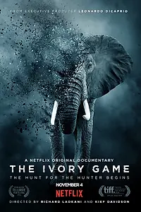 Главный постер фильма «Игра цвета слоновой кости (2016)»